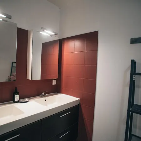 Appartement Le Cocon De Sapiac à Deux Pas Du Stade, Garage Montauban